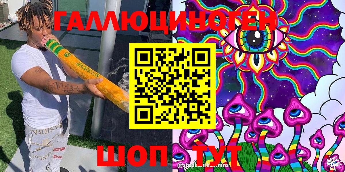 Псилоцибиновые грибы Psilocybe Владимир