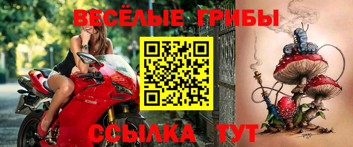 продажа наркотиков  Вход с VPN  Владимир  Галлюциногенные грибы ЛСД 